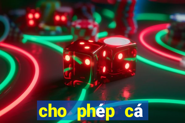 cho phép cá cược bóng đá đua ngựa