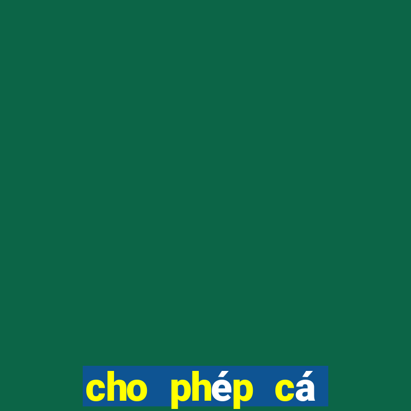 cho phép cá cược bóng đá đua ngựa