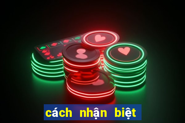 cách nhận biệt kèo bóng đá