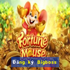 Đăng ký Bigboss Thưởng 79k