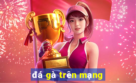 đá gà trên mạng