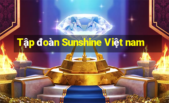 Tập đoàn Sunshine Việt nam