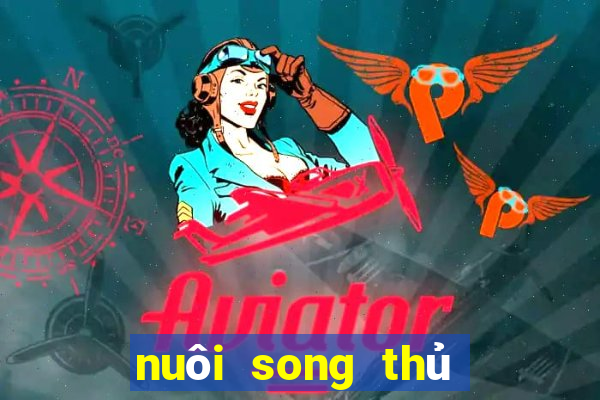 nuôi song thủ lô khung 2ngay