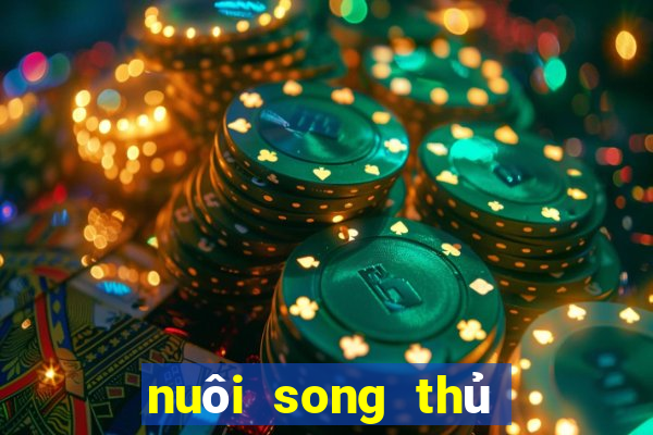 nuôi song thủ lô khung 2ngay