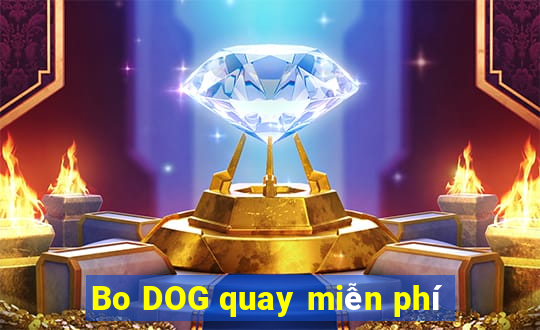 Bo DOG quay miễn phí