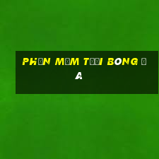 Phần mềm tưới bóng đá