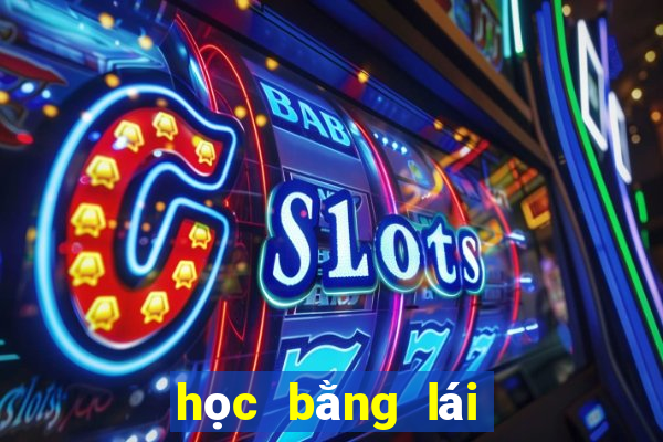 học bằng lái xe c