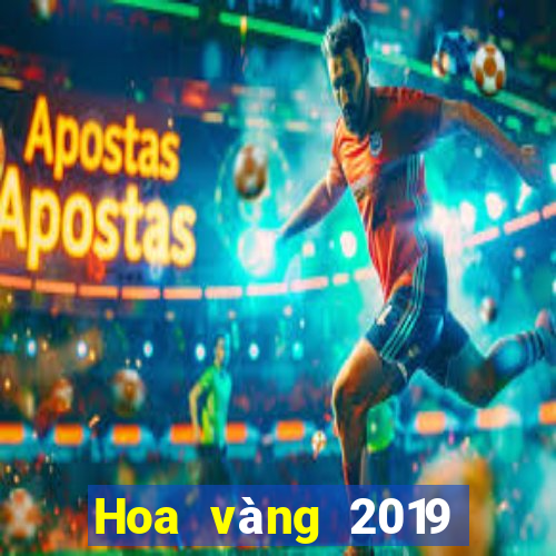 Hoa vàng 2019 của vua bull bull