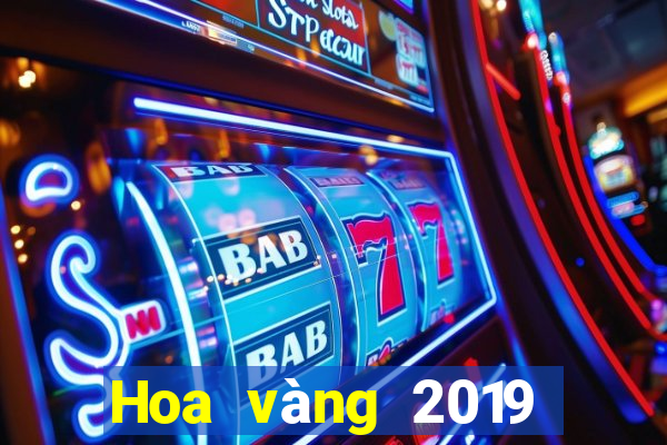 Hoa vàng 2019 của vua bull bull