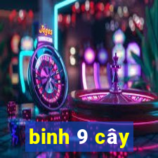 binh 9 cây