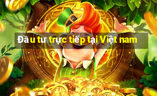 Đầu tư trực tiếp tại Việt nam