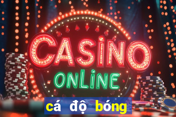 cá độ bóng đá online