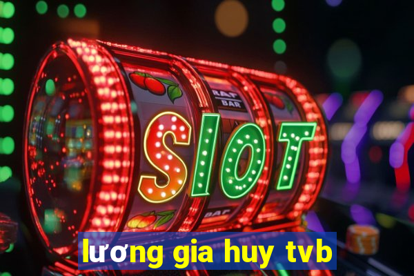 lương gia huy tvb