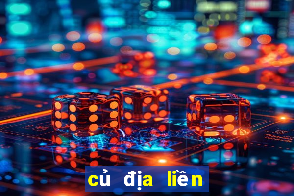 củ địa liền làm gia vị