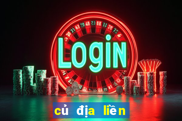 củ địa liền làm gia vị