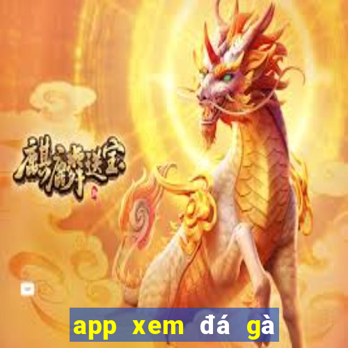 app xem đá gà trực tiếp thomo