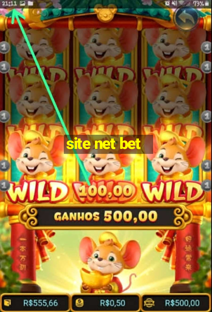 site net bet