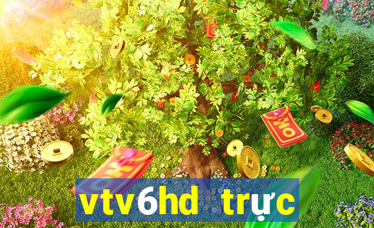 vtv6hd trực tiếp bóng đá