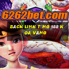 Bách Linh tống 188 hoa vàng