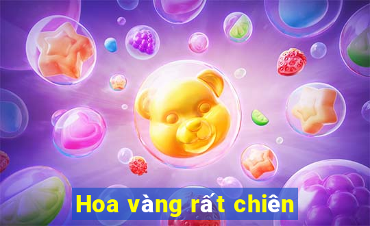 Hoa vàng rất chiên