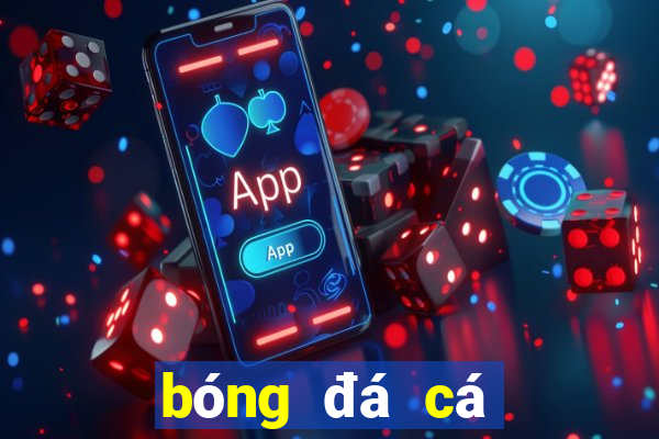 bóng đá cá cược nhà cái