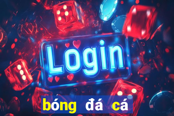 bóng đá cá cược nhà cái