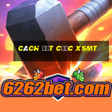 Cách đặt cược XSMT