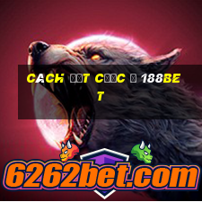 cách đặt cược ỏ 188bet