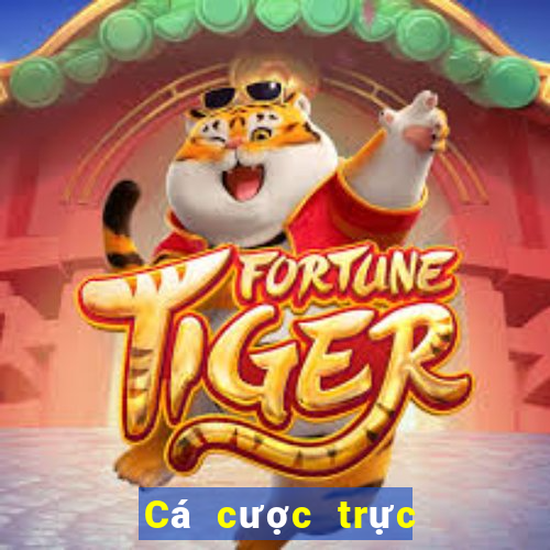 Cá cược trực tuyến leon