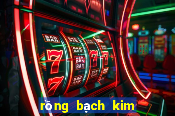 rong bach kim du doan xo so mien bac