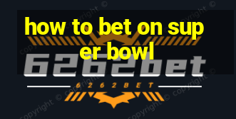 how to bet on super bowl