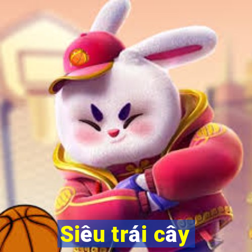 Siêu trái cây