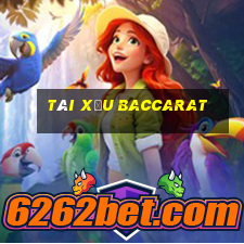 tài xỉu baccarat