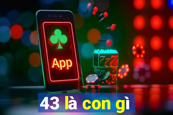 43 là con gì