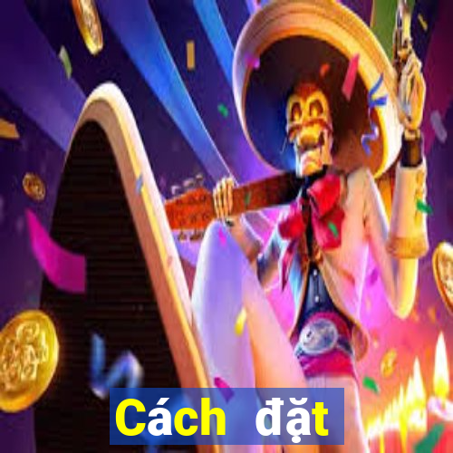 Cách đặt cược XSQT ngày 23