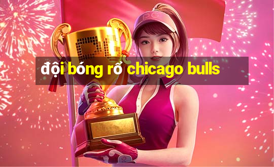 đội bóng rổ chicago bulls