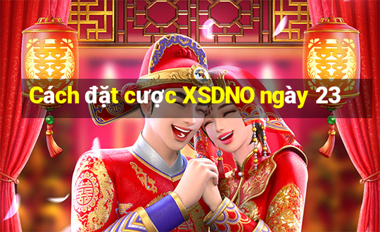 Cách đặt cược XSDNO ngày 23