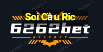 Soi Cầu Ric