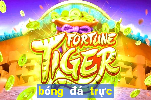 bóng đá trực tuyến trandautv