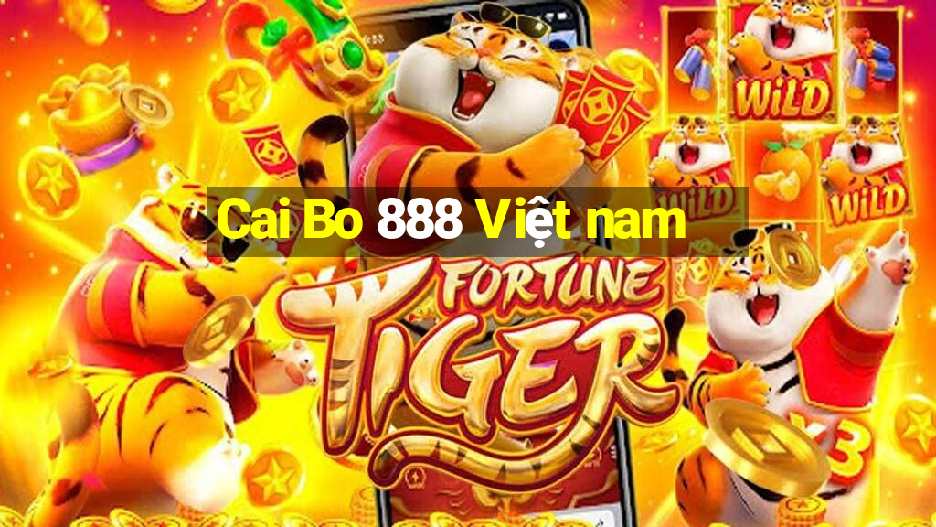 Cai Bo 888 Việt nam