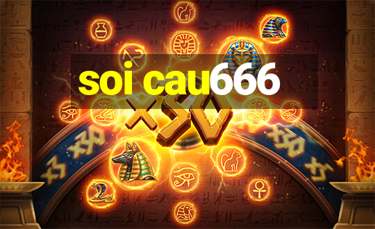 soi cau666