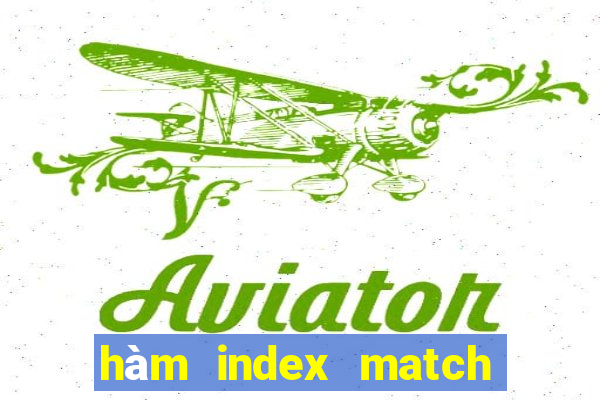 hàm index match trong excel