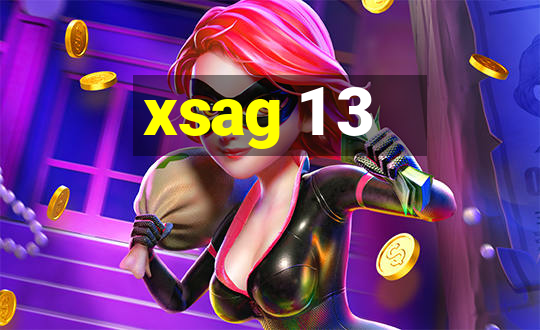 xsag 1 3