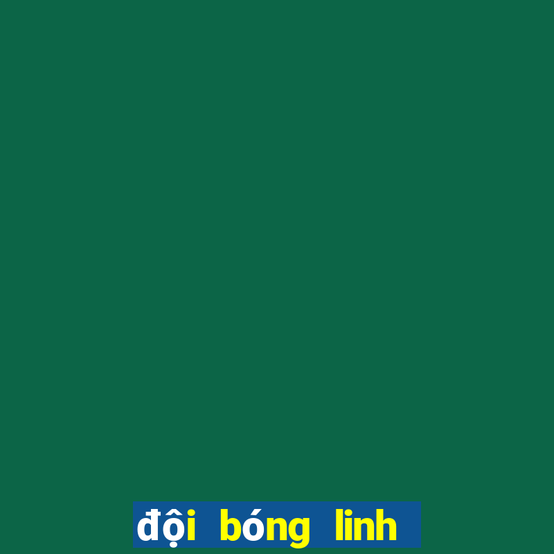 đội bóng linh dương đen