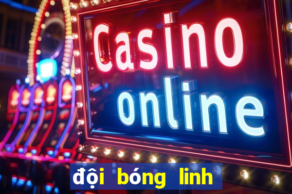 đội bóng linh dương đen