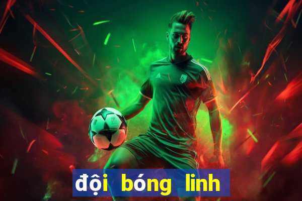 đội bóng linh dương đen