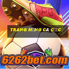 Trang mạng cá cược