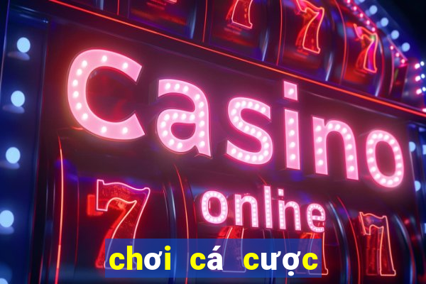 chơi cá cược thể thao casino