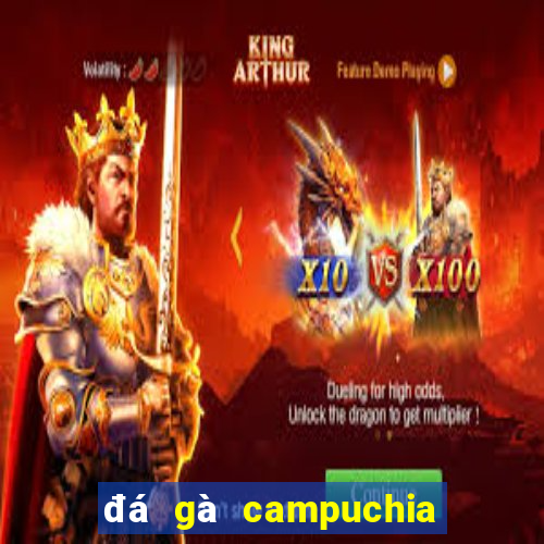 đá gà campuchia ngày hôm nay