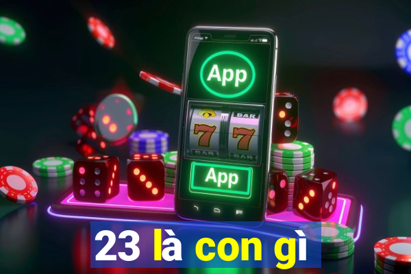 23 là con gì